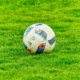 na zdjęciu piłka nożna na trawiastym boisku
